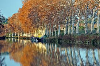 Crédit Photo : Office de tourisme du Canal du Midi au Saint Chinian [Image191576]